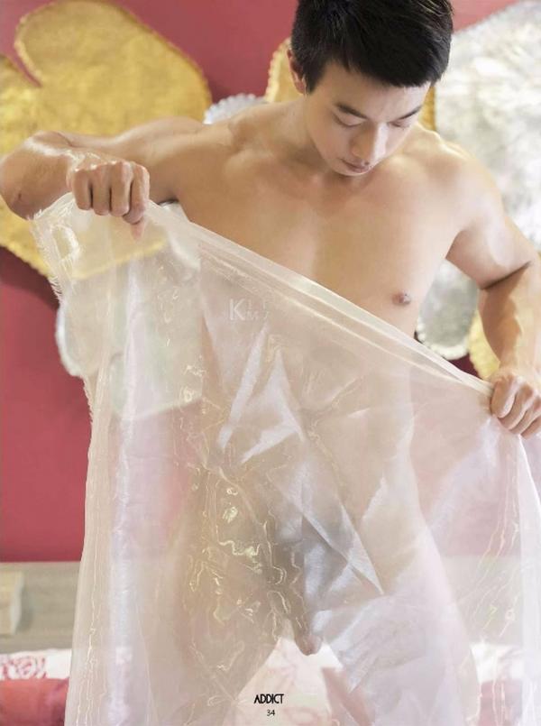 Addict--The-Premium-Issue